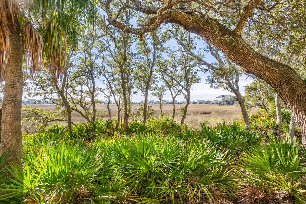 159 Ocean Creek Blvd Marsh Mellow | Photo 41