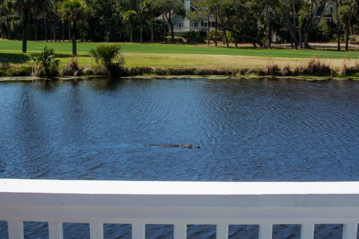 Lovely backyard deck overlooking water and Ocean Point golf course