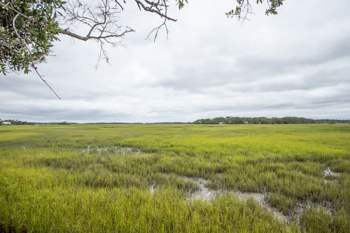 Marsh view from patio. 