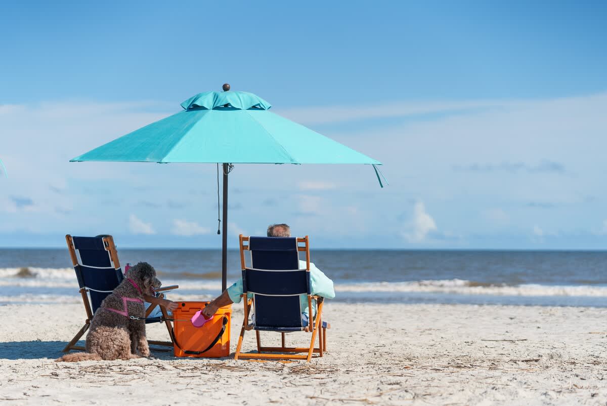 271 Deer Lake Drive | Photo 42