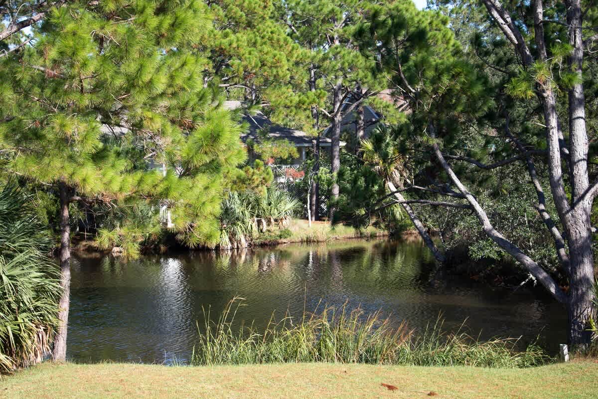 271 Deer Lake Drive | Photo 39