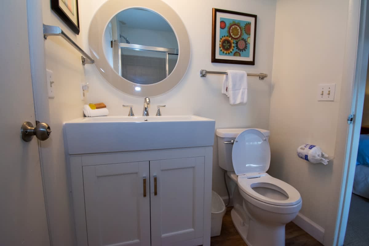 Full En Suite Jack and Jill Bathroom