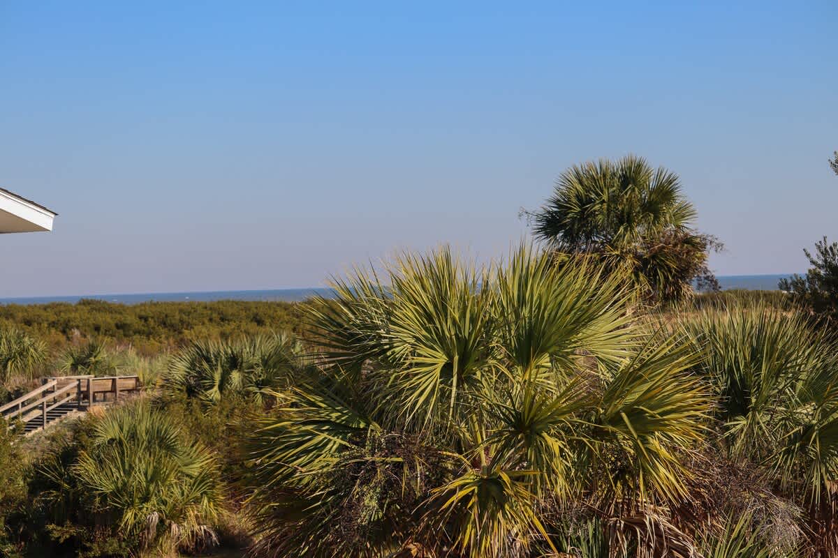 726 Seahorse Road | Photo 46