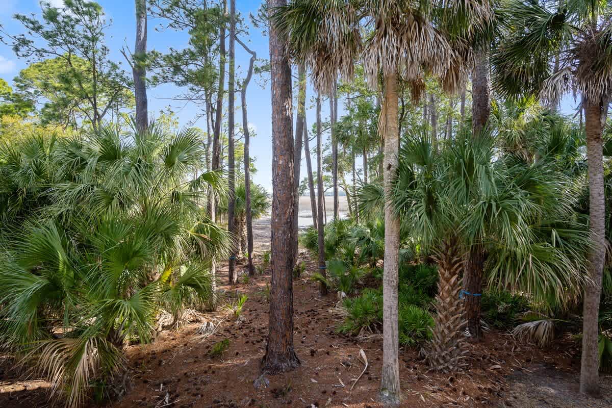 View from Main Porch