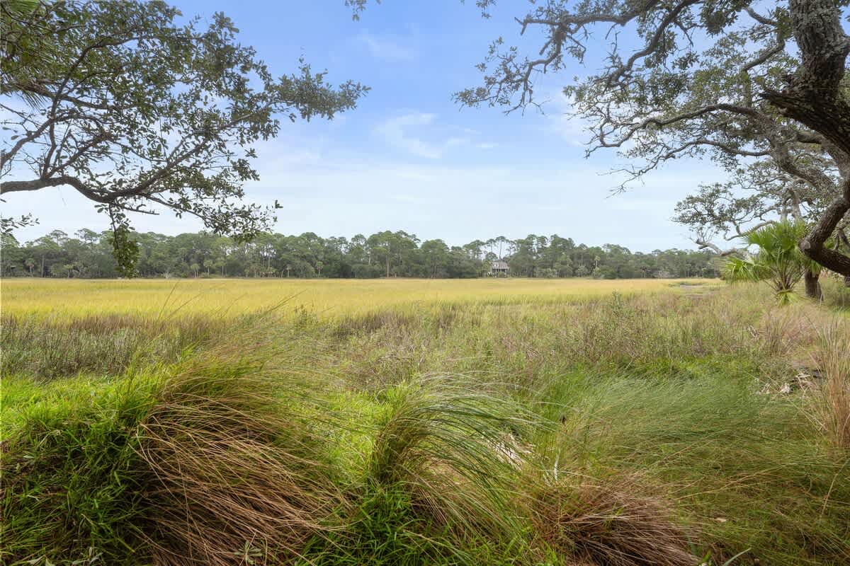 Marsh View