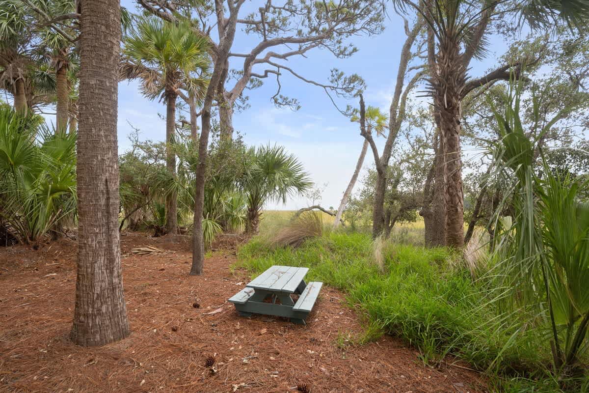Exterior Picnic Table