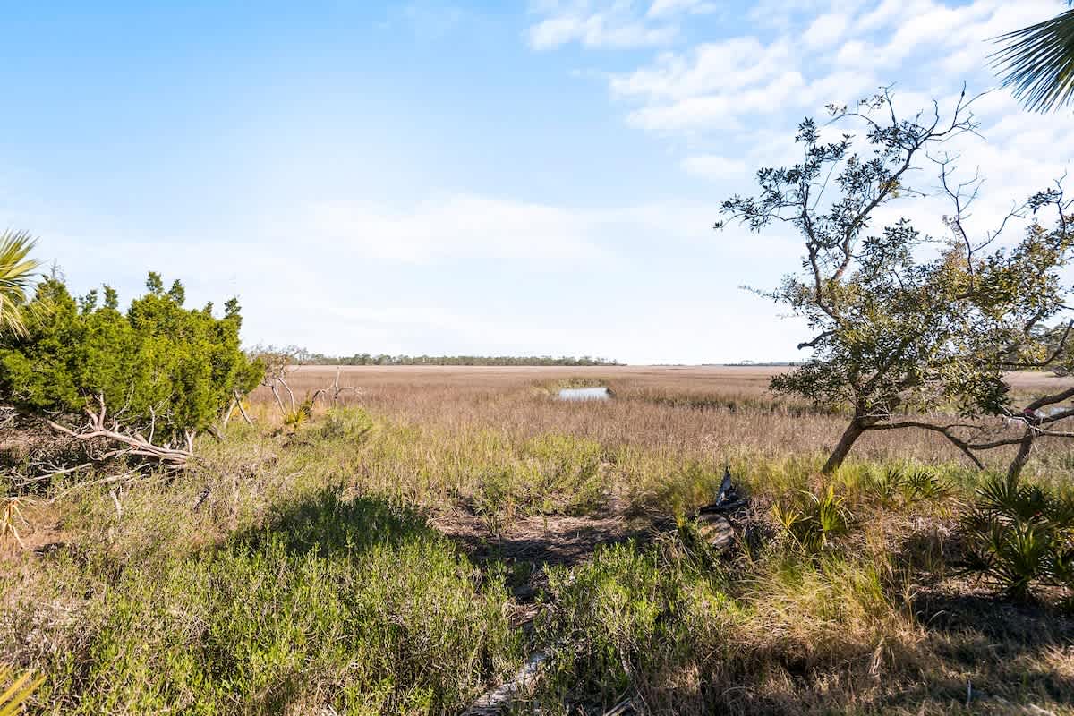 Spectacular marsh views
