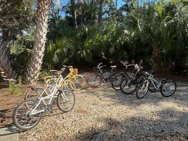 375 Sea Bass Drive | Photo 40