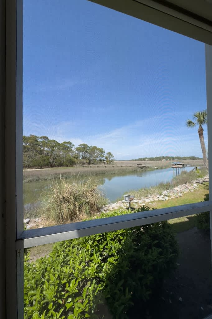 Marsh View 