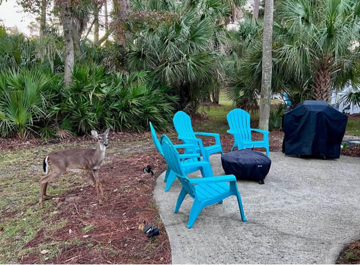 Backyard Sitting Area and Grill