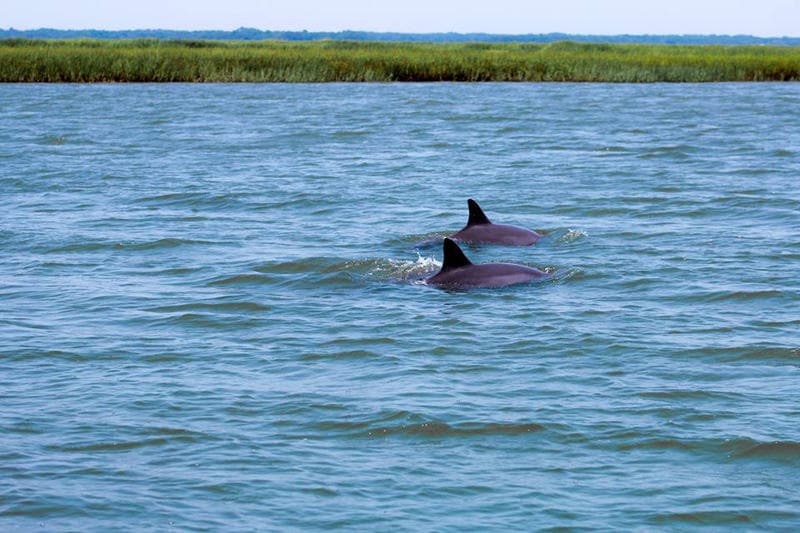 456 Porpoise Drive | Photo 103