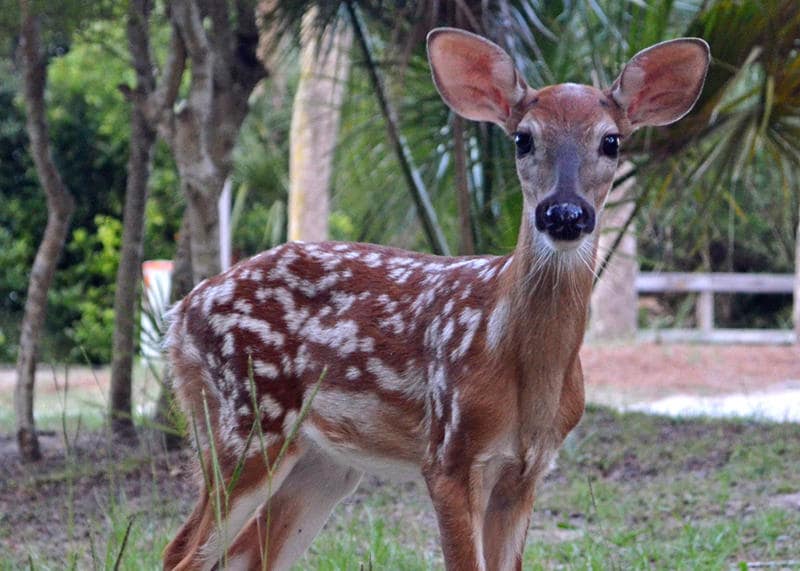 456 Porpoise Drive | Photo 107