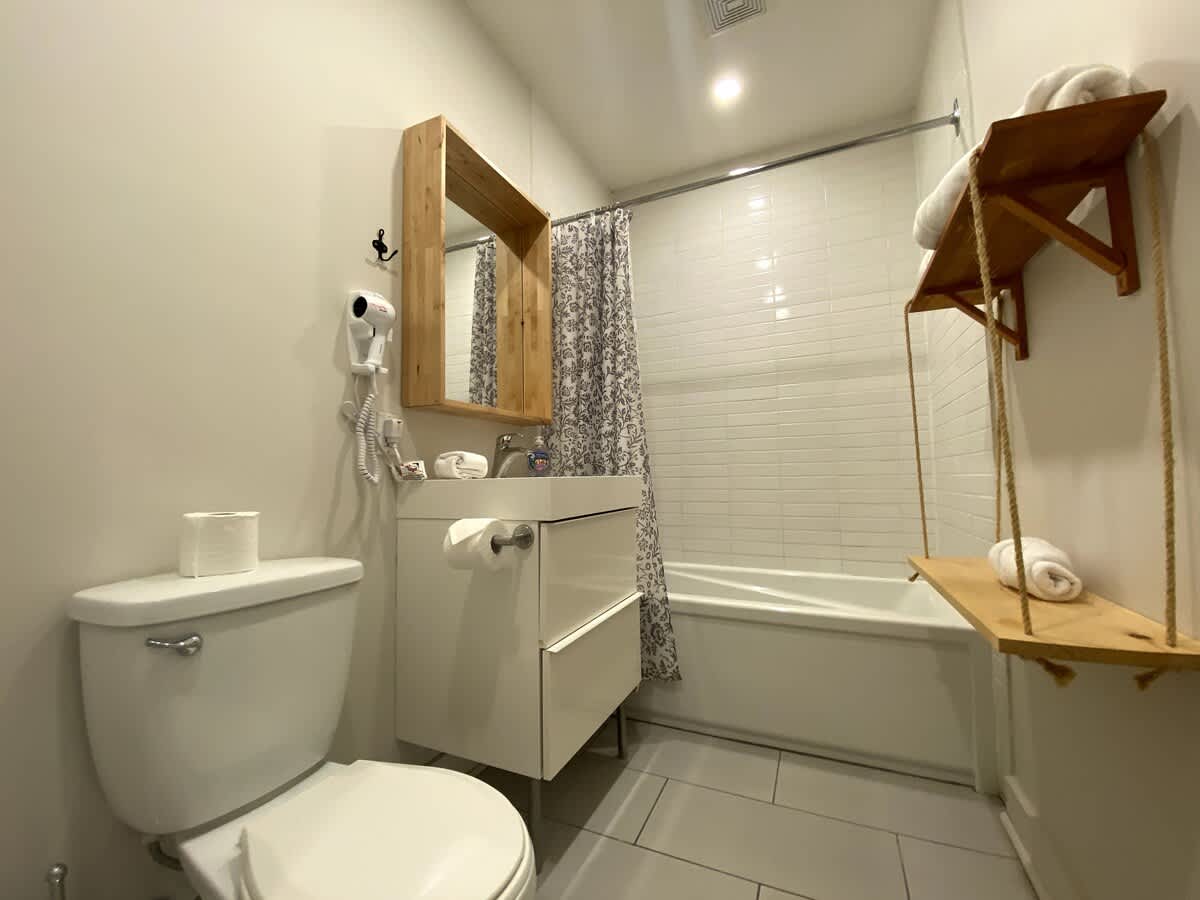 Apartment Furnished 1 Bedroom St-Denis 2-4133 4