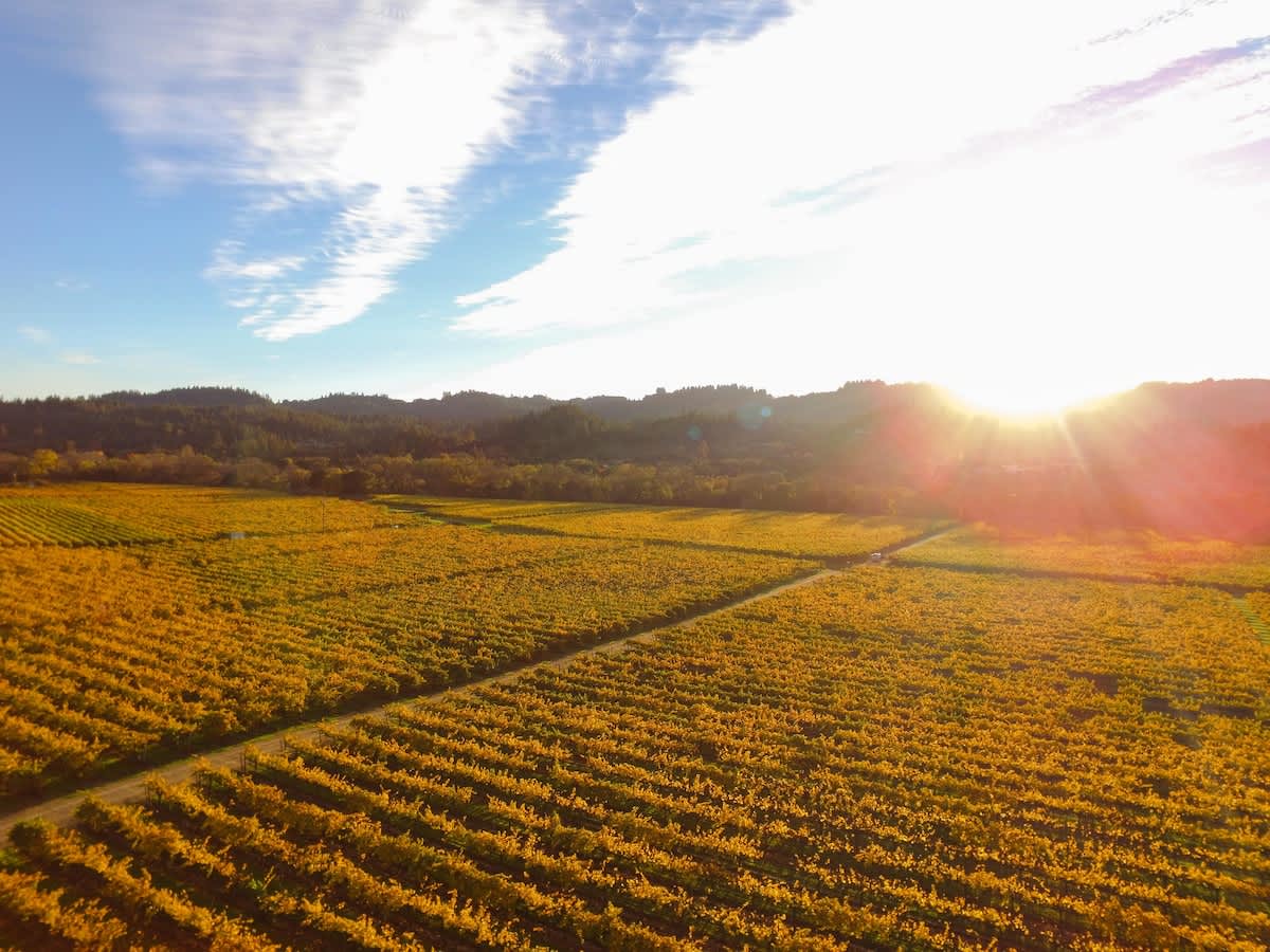 Santini Farmhouse Wine Tastings Included