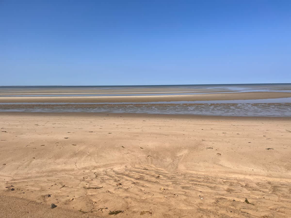 Cape Cod Bay Beach just 25 away