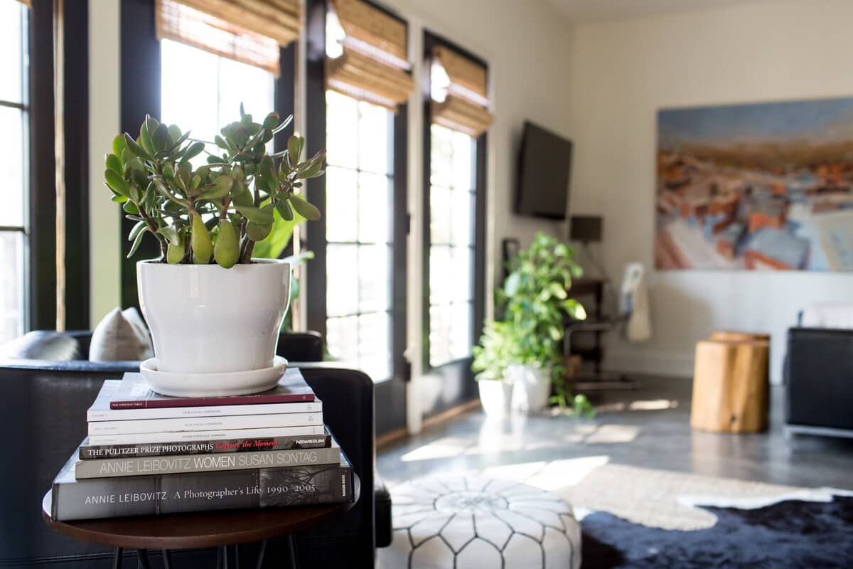 Belmont Flat - vacation rental in Charlottesville — photo 16 of 16