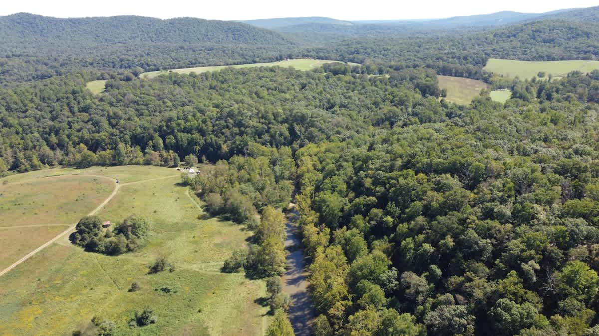 Rockfish Ranch Estate - vacation rental in Charlottesville — photo 29 of 31