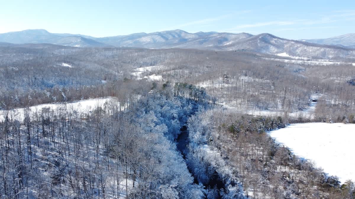 Rockfish Ranch Estate - vacation rental in Charlottesville — photo 8 of 31
