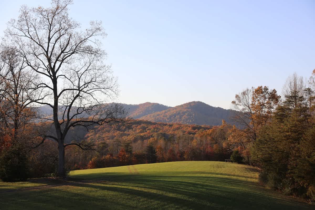 Rockfish Ranch Estate - vacation rental in Charlottesville — photo 27 of 31