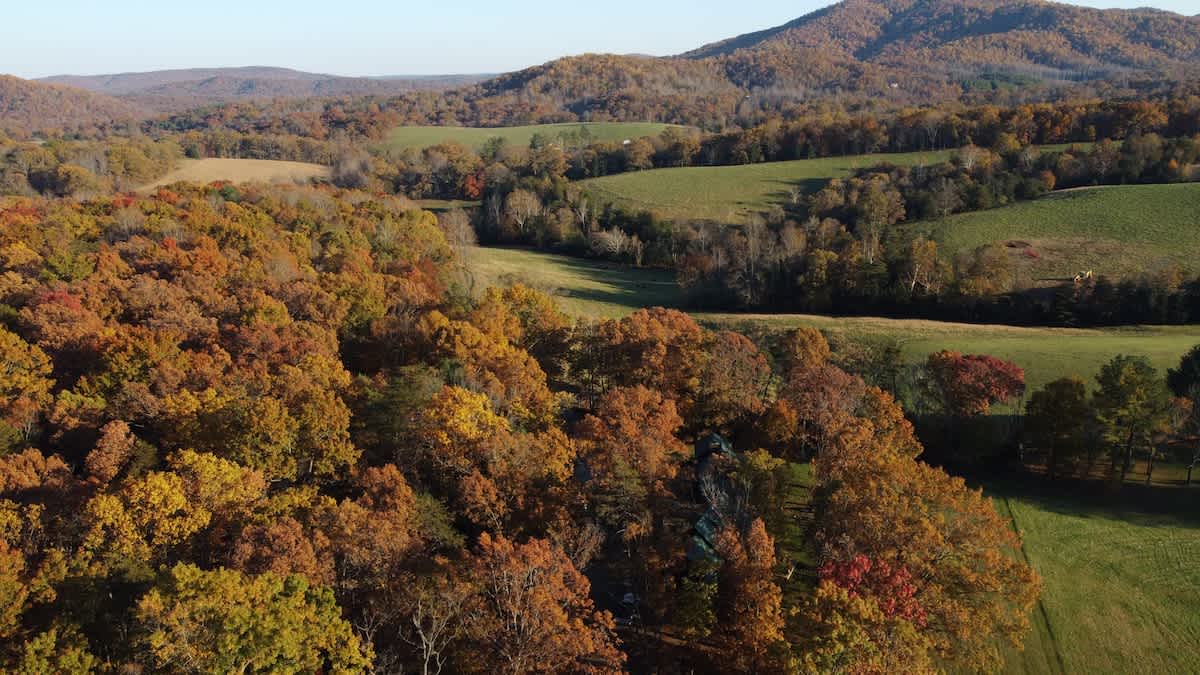Rockfish Ranch Estate - vacation rental in Charlottesville — photo 25 of 31