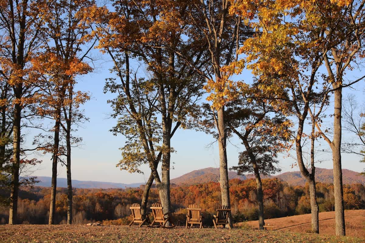 Rockfish Ranch Estate - vacation rental in Charlottesville — photo 28 of 31