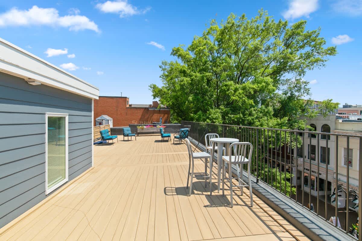 Gatsby - vacation rental in Charlottesville — photo 6 of 20