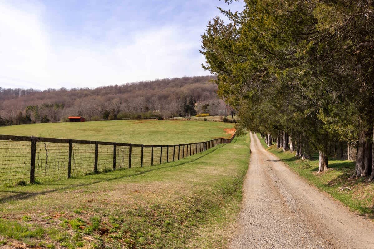 Keelona Cottage - vacation rental in Charlottesville — photo 8 of 29