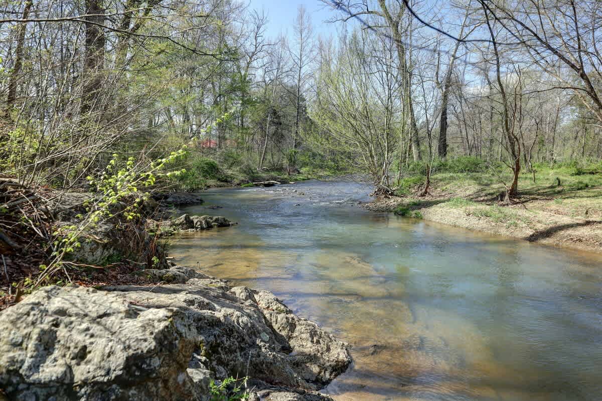 River Ridge Overlook - vacation rental in Charlottesville — photo 76 of 85