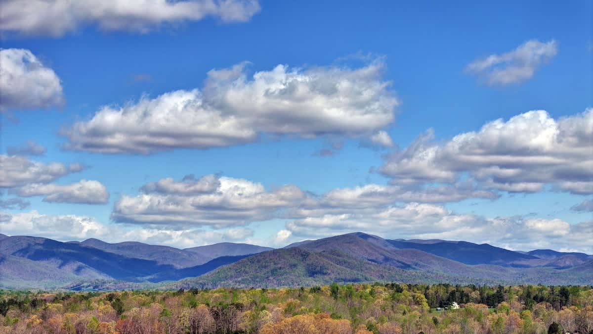 River Ridge Overlook - vacation rental in Charlottesville — photo 83 of 85