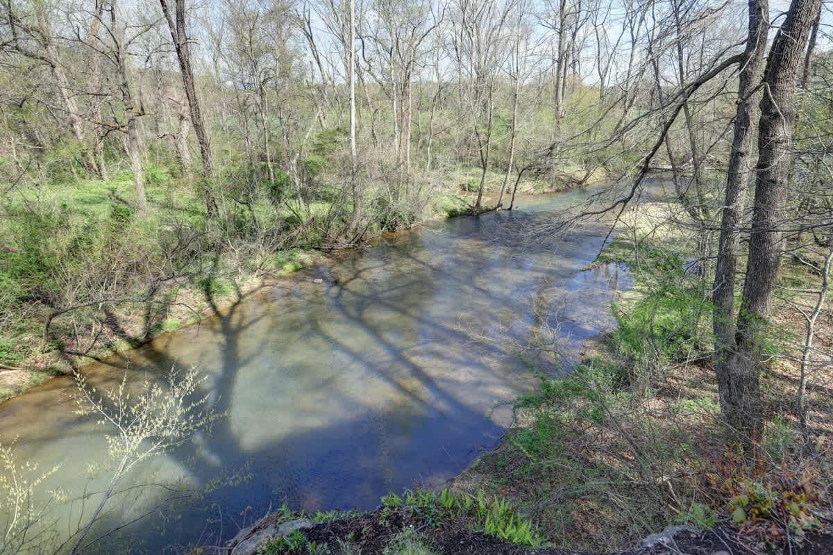 River Ridge Overlook - vacation rental in Charlottesville — photo 75 of 85