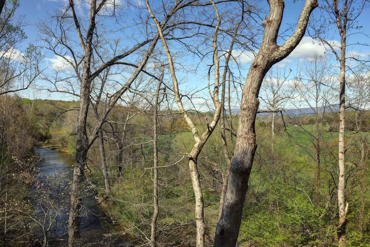 River Ridge Overlook - vacation rental in Charlottesville — photo 73 of 85