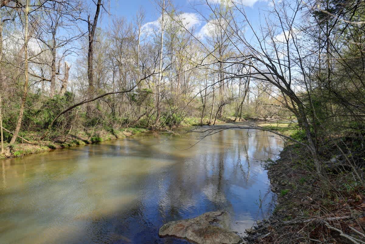 River Ridge Overlook - vacation rental in Charlottesville — photo 77 of 85