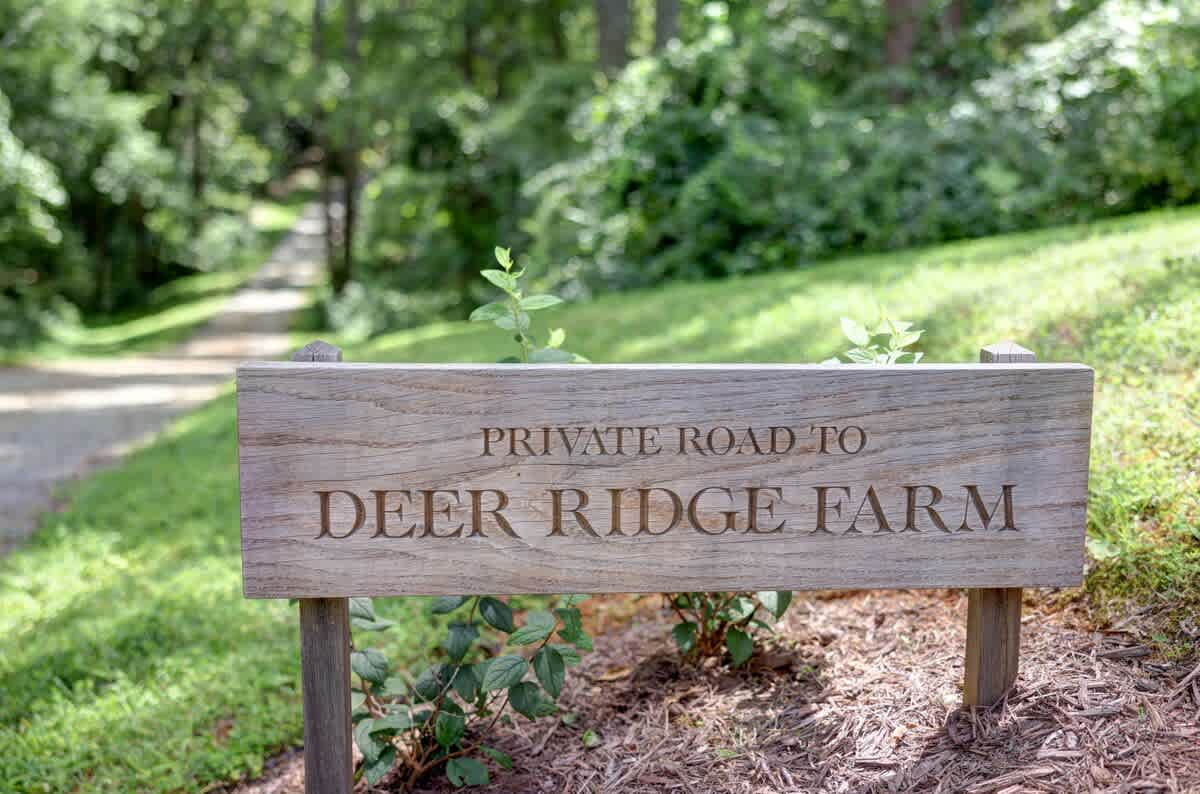 Cottage at Deer Ridge Farm - vacation rental in Charlottesville — photo 39 of 40