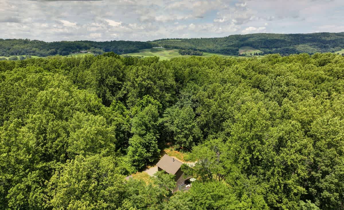 Cottage at Deer Ridge Farm - vacation rental in Charlottesville — photo 18 of 40