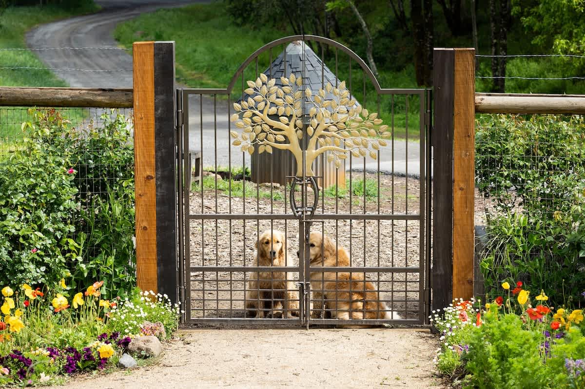 Enjoy your time in The Garden
