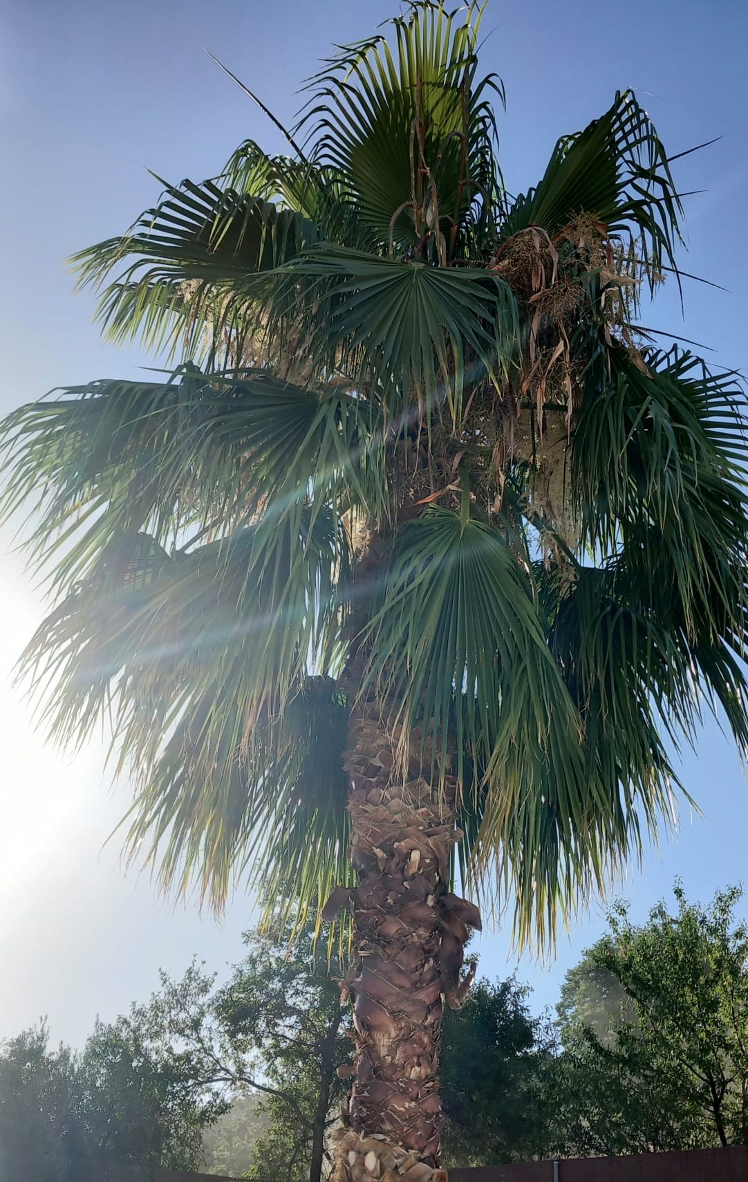 Casa Tranquil: Pool, Cinema & Village Views