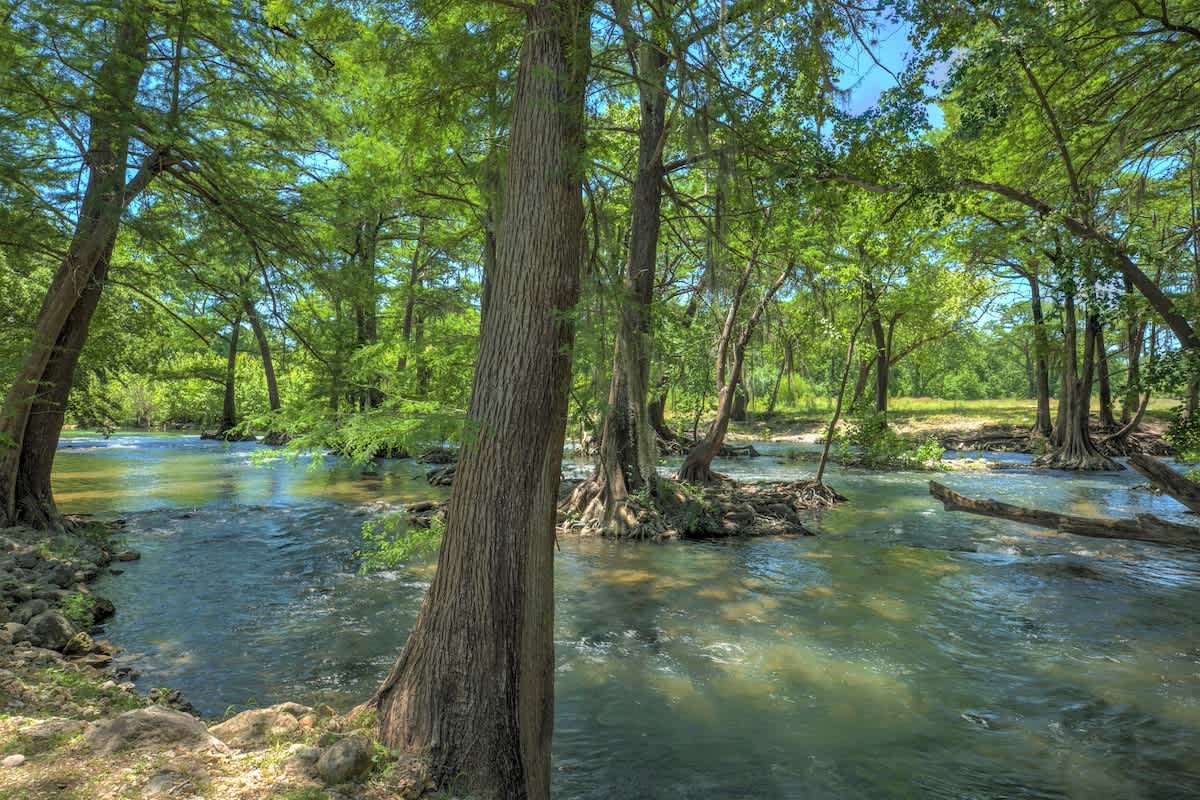 Life is Gruene | Photo 44