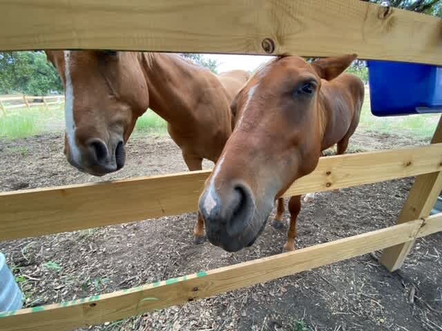 Canyon Lake Family Retreat | Photo 93