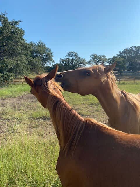 JoJo (looking at you) and Seventeen are here for your viewing pleasure!