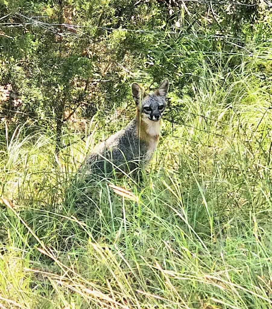 Canyon Lake Family Retreat 2