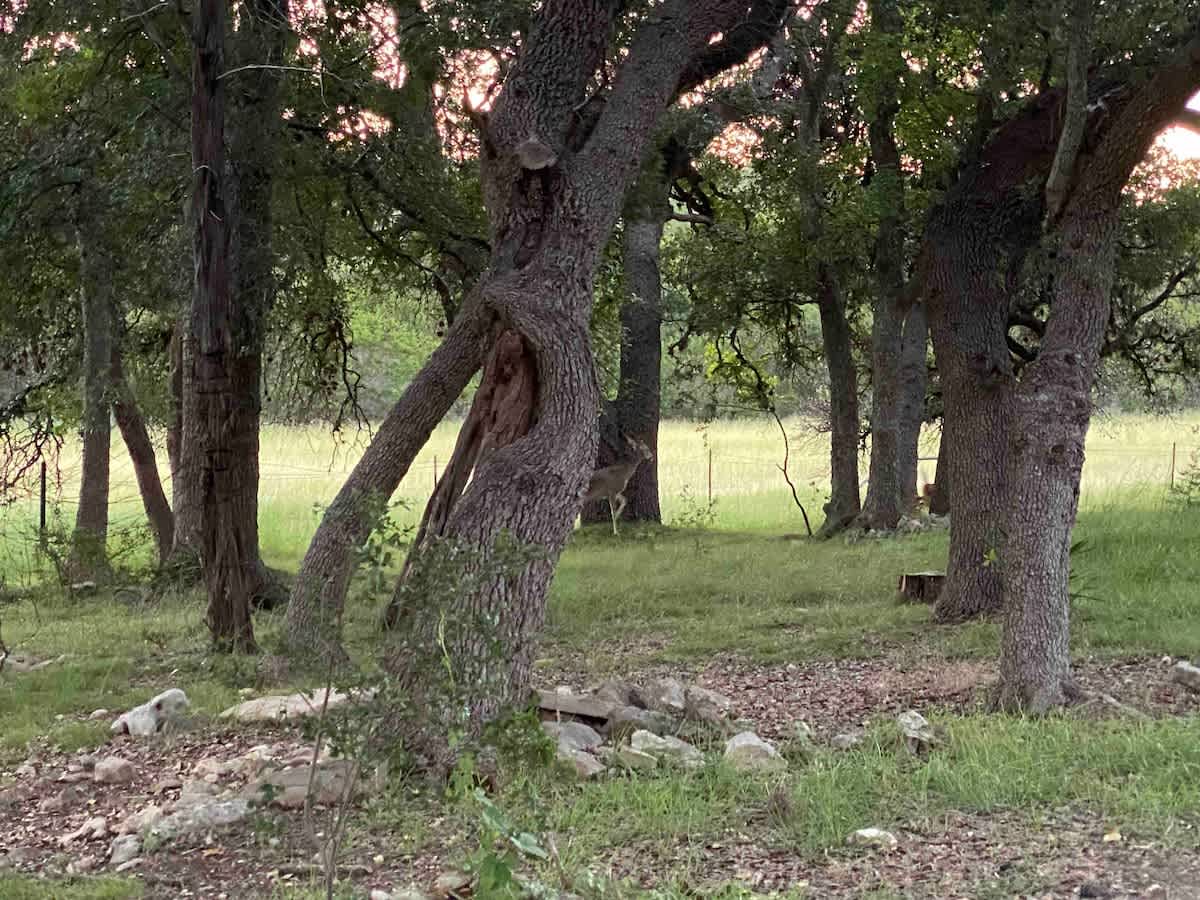 Canyon Lake-Sweet Retreat 6