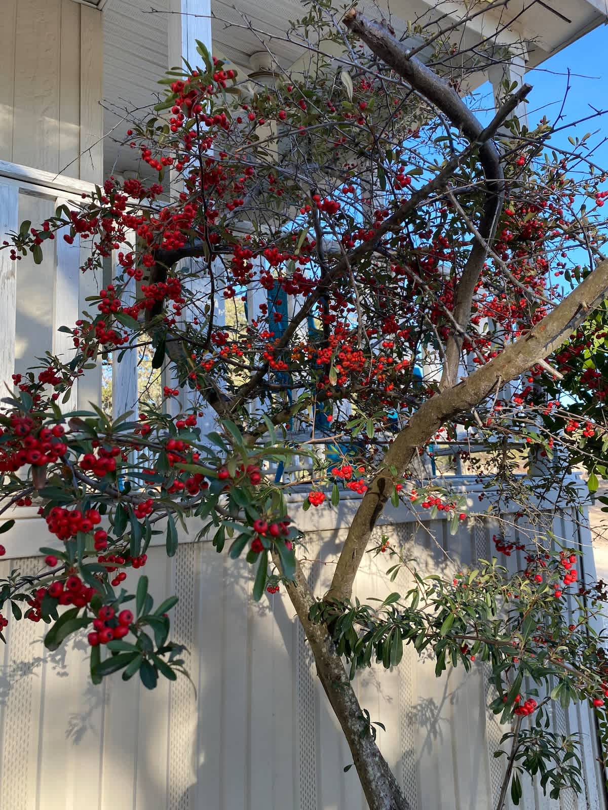 Canyon Lake-Sweet Retreat | Photo 38