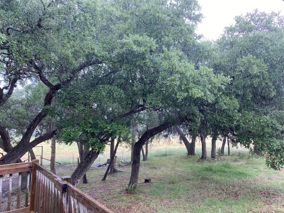 Canyon Lake-Sweet Retreat | Photo 35