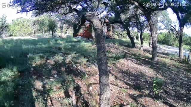 There is a camera located pointing towards the cabin. This is the camera view