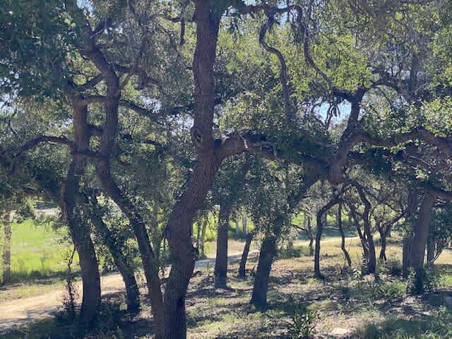 Hill Country Cabin 4 | Photo 19