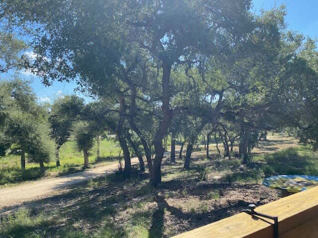 Hill Country Cabin 4 | Photo 18