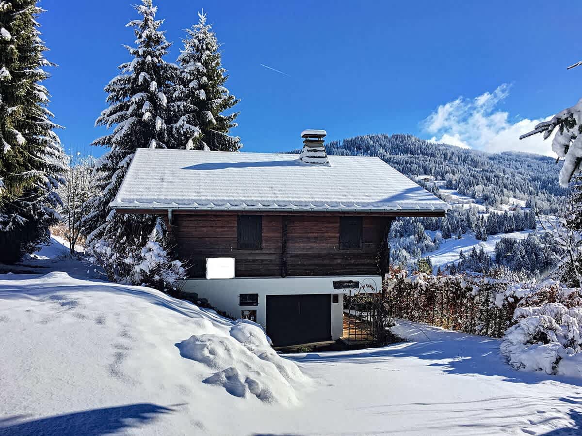 Chalet les Bouleaux - photo 5