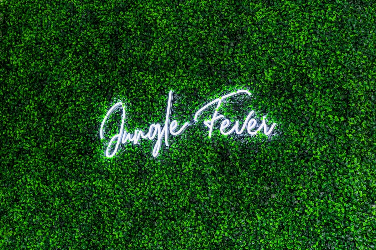 🌿 Jungle Fever by Jungle House | Walk to High Street | Near Convention Center, OSU & Nationwide Arena | Downtown & Short North | 5,800+ Reviews | Private Parking - Foto 35