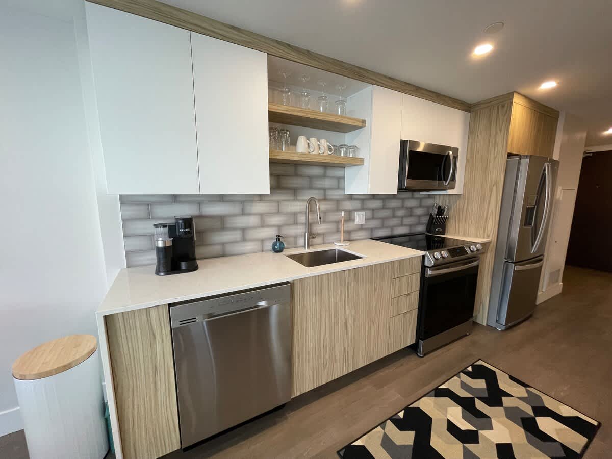 Large 1 BR downtown with lots of sunlight