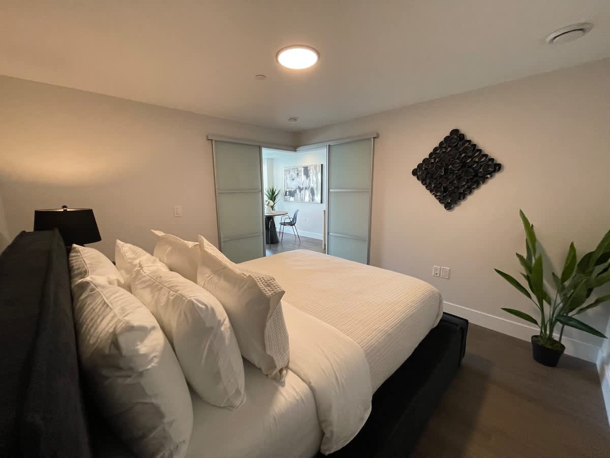 Large 1 BR downtown with lots of sunlight
